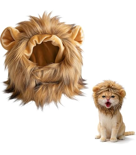 Amazon.co.jp: なめ猫 レトロ なめんなよ猫 下敷き ！ : ペット用品